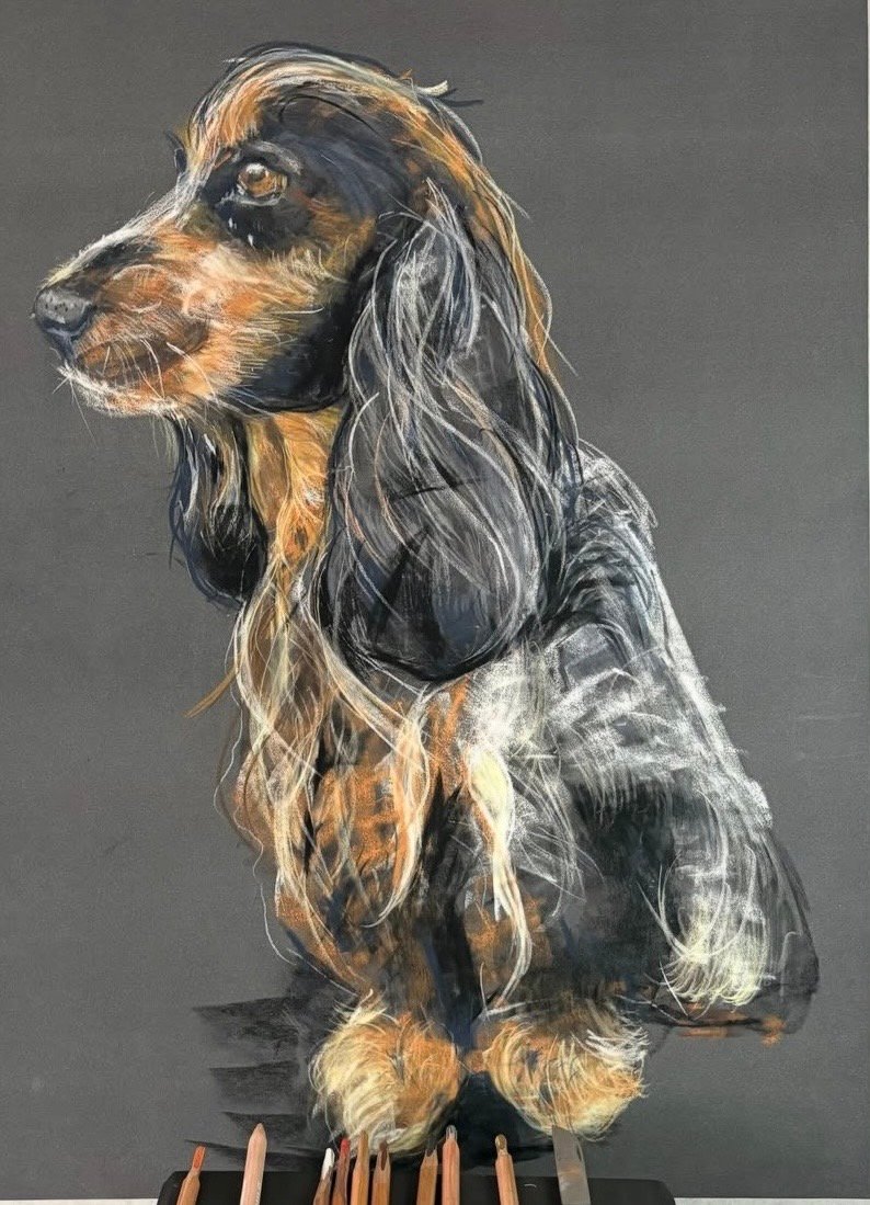 Dessin de chien réalisé au pastel
